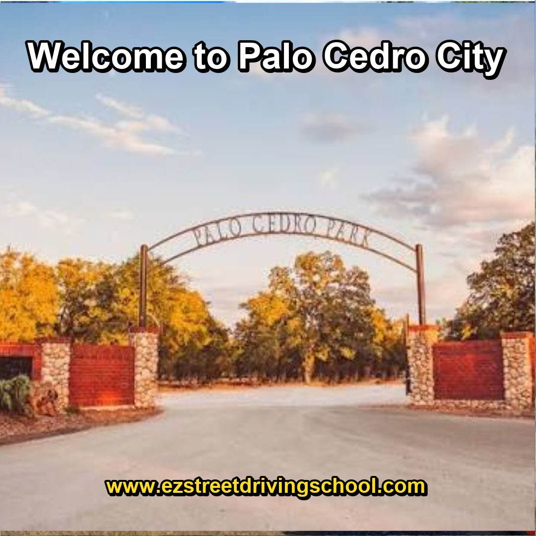 Driving Lessons in Palo Cedro